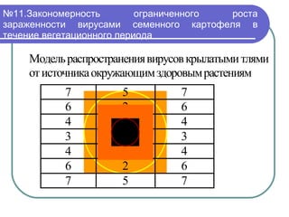 № 11.Закономерность ограниченного роста зараженности вирусами семенного картофеля в течение вегетационного периода  