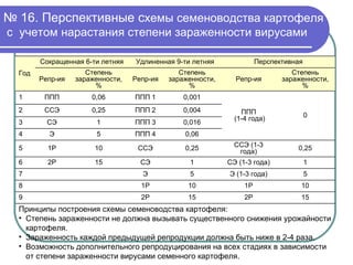 №  16. Перспективные с хемы семеноводства картофеля  с  учетом нарастания степени зараженности вирусами   Принципы построения схемы семеноводства картофеля: Степень зараженности не должна вызывать существенного снижения урожайности картофеля.  Зараженность каждой предыдущей репродукции должна быть ниже в 2-4 раза. Возможность дополнительного репродуцирования на всех стадиях в зависимости от степени зараженности вирусами семенного картофеля.  15 2Р 15 2Р 9 10 1Р 10 1Р 8 5 Э (1-3 года) 5 Э 7 1 СЭ (1-3 года) 1 СЭ 15 2Р 6 0,25 ССЭ (1-3 года) 0,25 ССЭ 10 1Р 5 0,06 ППП 4 5 Э 4 0,016 ППП 3 1 СЭ 3 0,004 ППП 2 0,25 ССЭ 2 0 ППП (1-4 года) 0,001 ППП 1 0,06 ППП 1 Степень зараженности, % Репр-ия Степень зараженности, % Репр-ия Степень зараженности, % Репр-ия Перспективная Удлиненная 9-ти летняя Сокращенная 6-ти летняя Год 