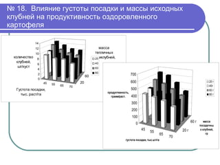 №  18.  Влияние густоты посадки и массы исходных клубней на продуктивность оздоровленного картофеля 