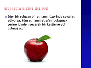  Eğer bir solucan bir elmanın üzerinde seyahat
ediyorsa, tüm elmanın etrafını dolaşmak
yerine içinden geçerek bir kestirme yol
bulmuş olur.
 