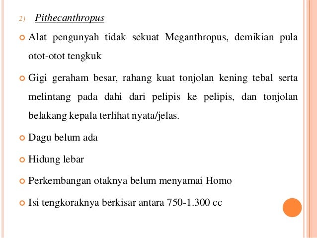 Zaman Pra aksara (Sejarah kelas 10 Kurikulum 13)