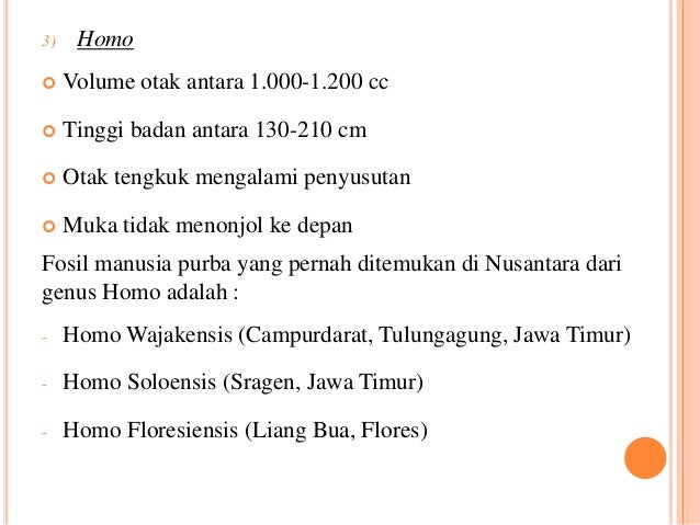 Zaman Pra aksara (Sejarah kelas 10 Kurikulum 13)