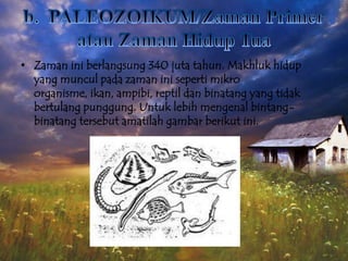 • Zaman ini berlangsung 340 juta tahun. Makhluk hidup
yang muncul pada zaman ini seperti mikro
organisme, ikan, ampibi, reptil dan binatang yang tidak
bertulang punggung. Untuk lebih mengenal bintangbinatang tersebut amatilah gambar berikut ini.

 