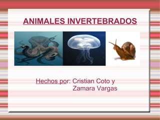 ANIMALES INVERTEBRADOS Hechos po r: Cristian Coto y Zamara Vargas 
