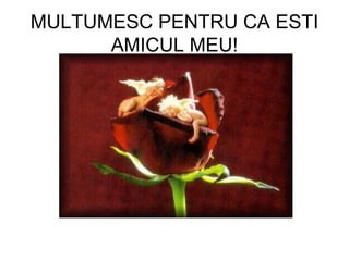 MULTUMESC PENTRU CA ESTI AMICUL MEU! 