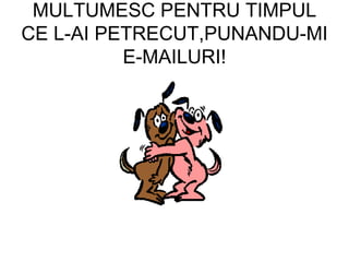 MULTUMESC PENTRU TIMPUL CE L-AI PETRECUT,PUNANDU-MI E-MAILURI! 