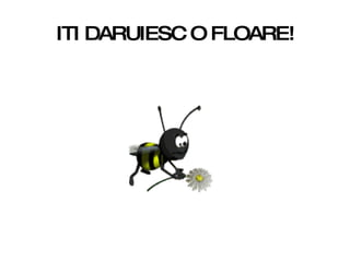 ITI DARUIESC O FLOARE! 