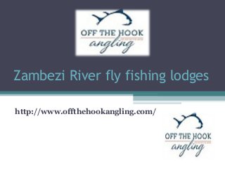 Zambezi River fly fishing lodges
http://www.offthehookangling.com/
 