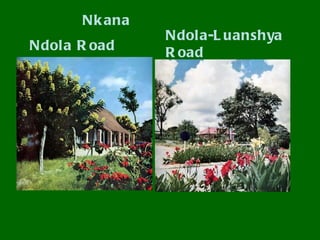 Nk ana
               Ndola-L uanshya
Ndola R oad    R oad
 