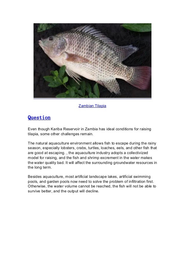 Zambia Fish Pond LinerA New Force of African Tilapia Culture.pdf