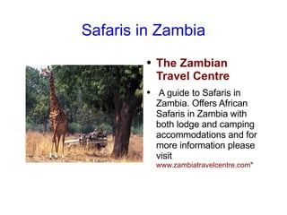 Safaris in Zambia ,[object Object]
