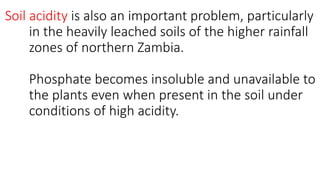 Soil acidity is also an important problem, particularly
in the heavily leached soils of the higher rainfall
zones of northern Zambia.
Phosphate becomes insoluble and unavailable to
the plants even when present in the soil under
conditions of high acidity.
 