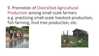 9. Promotion of Diversified Agricultural
Production among small scale farmers
e.g. practicing small-scale livestock production,
fish farming, fruit tree production, etc.
 
