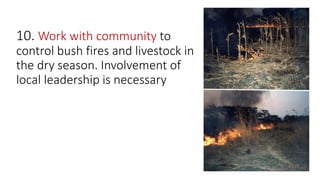 10. Work with community to
control bush fires and livestock in
the dry season. Involvement of
local leadership is necessary
 