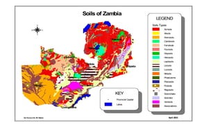 Soils Types
Acrisols
Alisols
Arenosols
Cambisols
Ferralsols
Fluvisols
Gleysols
Histosols
Leptosols
Lixisols
Luvisols
Nitisols
Phaeozems
Planosols
Podzols
Regosols
Solonchaks
Solonetz
Vertisols
Associations
LEGEND
%
%
%
%
%
%
%
%
%
Mwansa
Ndola
Lusaka
Kasama
Solwezi
Livingstone
Mongu
Kabwe
Chipata
N
EW
S
Soils of Zambia
Provincial Capital%
Lakes
KEY
Soil SurveyUnit, Mt. Makulu April 2003
 