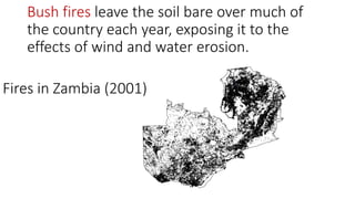 Bush fires leave the soil bare over much of
the country each year, exposing it to the
effects of wind and water erosion.
Fires in Zambia (2001)
 