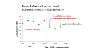 Forest Reference Level
(average historical emissions)
Emission Reduction
historical emissions
Start REDD+ implementation
Forest Reference Emission Level
(A benchmark for assessing performance)
 