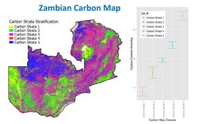 Zambian Carbon Map
 
