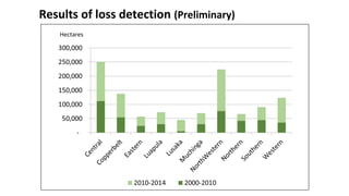 Results of loss detection (Preliminary)
Hectares
 