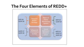 The Four Elements of REDD+
4/CP.15
12/CP.17
13/CP.19
4/CP.15
11/CP.19
1/CP.16
15/CP.19
12/CP.17
12/CP.19
 