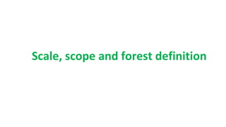Scale, scope and forest definition
 