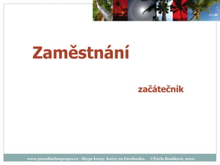 www.paradiselanguages.cz - Skype kurzy, kurzy na Facebooku.  ©Pavla Bosáková, 2010. začátečník Zaměstnání 
