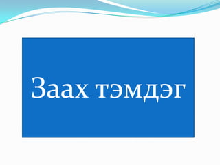 Заах тэмдэг

 