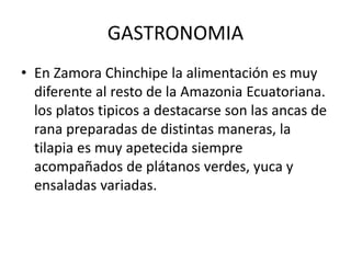 GASTRONOMIA
• En Zamora Chinchipe la alimentación es muy
diferente al resto de la Amazonia Ecuatoriana.
los platos tipicos a destacarse son las ancas de
rana preparadas de distintas maneras, la
tilapia es muy apetecida siempre
acompañados de plátanos verdes, yuca y
ensaladas variadas.
 