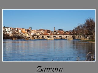 Zamora
 