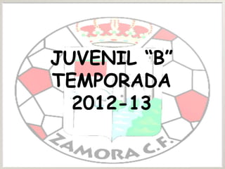 JUVENIL “B”
TEMPORADA
  2012-13
 