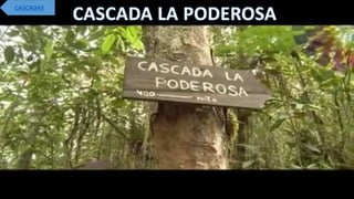 CASCADAS
 