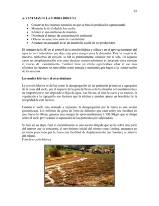 65
A. VENTAJAS EN LA SIMBRA DIRECTA
•
•
•
•
•
•

Conservar los recursos naturales en que se basa la producción agropecuaria
Mantener la fertilidad de los suelos
Reducir el uso intensivo de insumos
Disminuir el riesgo de contaminación ambiental
Obtener un nivel adecuado de rentabilidad
Alcanzar un adecuado nivel de desarrollo social de los productores.

El impacto de la SD en el control de la erosión hídrica y eólica y en el aprovechamiento del
agua es tan contundente que deja muy poco margen para la discusión. Para la mayoría de
nuestros problemas de erosión, la SD es prácticamente solución por si sola. En algunos
casos su complementación con otras técnicas conservacionistas es necesario para manejar
el exceso de escurrimiento. También tiene un efecto significativo sobre el uso más
eficiente de recursos no renovables como energía y nutrientes que hacen a la conservación
de los mismos.
La erosión hídrica y el escurrimiento

La erosión hídrica se define como la desagregación de las partículas primarias y agregados
de la masa del suelo, por el impacto de la gota de lluvia o de la abrasión del escurrimiento y
su trasporte porte por salpicado o flujo de agua. Las lluvias, el tipo de suelo y su manejo, la
vegetación y la topografía son factores que la afectan y pueden operar en beneficio de la
integridad de este recurso.
Cuando el suelo esta desnudo y expuesto, la desagregación por la lluvia es una acción
generalizada. Los millones de gotas de 3mm de diámetro que caen sobre una hectárea en
una lluvia de 60mm, generan una energía de aproximadamente 1.500.00kgm que se disipa
sobre el suelo provocando la separación de las partículas por salpicadura.
Si bien en su etapa final el escurrimiento es una acción dirigida que actúa sobre una parte
del terreno que se concentra, el movimiento inicial del mismo como lamina, encuentra en
un suelo planchado por la lluvia una facilidad de desplazamiento que favorece al arrastre
del mismo.
Foto de erosión hídrica

 