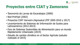 Hubris, estadística y una mirada hacia el futuroDr