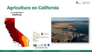 Hubris, estadística y una mirada hacia el futuroDr