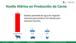 Hubris, estadística y una mirada hacia el futuroDr