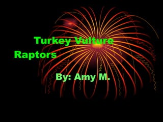 Turkey Vulture   Raptors By: Amy M. 