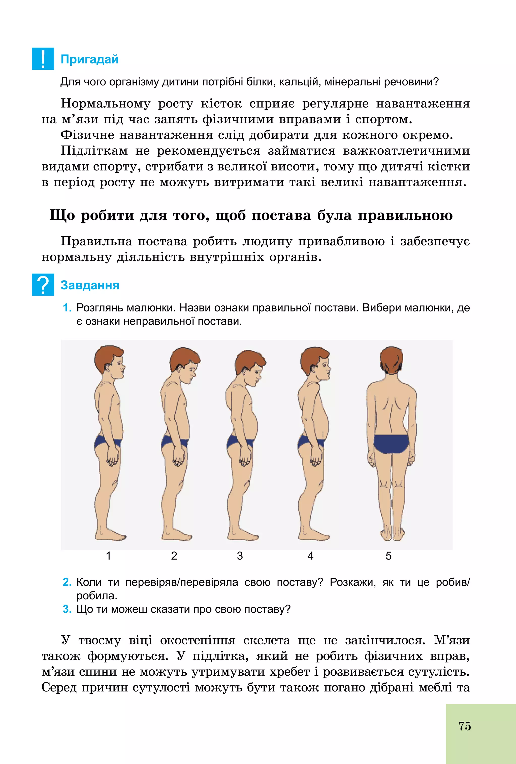 75
! Пригадай
Для чого організму дитини потрібні білки, кальцій, мінеральні речовини?
Нормальному росту кісток сприяє регулярне навантаження
на м’язи під час занять фізичними вправами і спортом.
Фізичне навантаження слід добирати для кожного окремо.
Підліткам не рекомендується займатися важкоатлетичними
видами спорту, стрибати з великої висоти, тому що дитячі кістки
в період росту не можуть витримати такі великі навантаження.
Що робити для того, щоб постава була правильною
Правильна постава робить людину привабливою і забезпечує
нормальну діяльність внутрішніх органів.
? Завдання
1. Розглянь малюнки. Назви ознаки правильної постави. Вибери малюнки, де
є ознаки неправильної постави.
21 3 4 5
2. Коли ти перевіряв/перевіряла свою поставу? Розкажи, як ти це робив/
робила.
3. Що ти можеш сказати про свою поставу?
У твоєму віці окостеніння скелета ще не закінчилося. М’язи
також формуються. У підлітка, який не робить фізичних вправ,
м’язи спини не можуть утримувати хребет і розвивається сутулість.
Серед причин сутулості можуть бути також погано дібрані меблі та
 