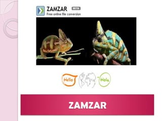 ZAMZAR
 