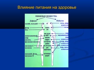 Влияние питания на здоровье
 