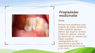 Propiedades
medicinales
Caries
Mascar una zanahoria justo
después de comer alimentos
mata cualquier germen
dañino que haya en la boca.
Limpia los dientes, elimina
las partículas de comida que
hayan quedado
impregnadas en las
hendiduras y previene el
sangramiento de las encías
y las caries
 