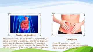 Trastornos digestivos
Mascar zanahoria cruda también incrementa la
saliva y acelera la digestión, aportando enzimas,
minerales y vitaminas necesarios. El consumo
regular de este vegetal previene la formación de
úlceras gástricas y de otros trastornos digestivos
Constipados
Especificamente se refiere al
estreñimiento se utiliza la zanahoria
para limpiar los intestinos.
 