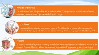 Parásitos intestinales
Las zanahorias son insuperables en el tratamiento de los parásitos intestinales infantiles,
así como cualquier otro tipo de parásitos del cuerpo
Fertilidad
Las zanahorias crudas son buenas para la fertilidad. Se cree que algunas veces la
esterilidad se logra vencer con un consumo muy frecuente y regular de este vegetal
Mucosas
El jugo de zanahoria parece ser muy beneficioso para las distintas membranas mucosas del
cuerpo. Es especialmente eficaz para tratar problemas de sequedad y dureza en la piel
 