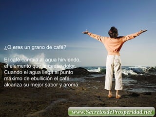 ¿O eres un grano de café?  El café cambia al agua hirviendo, el elemento que le causa dolor.  Cuando el agua llega al punto  máximo de ebullición el café alcanza su mejor sabor y aroma. 