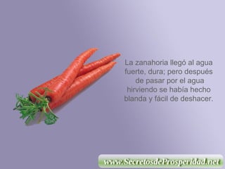 La zanahoria llegó al agua fuerte, dura; pero después  de pasar por el agua hirviendo se había hecho blanda y fácil de deshacer. 