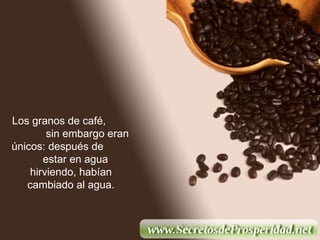 Los granos de café,  sin embargo eran únicos: después de  estar en agua hirviendo, habían cambiado al agua. 