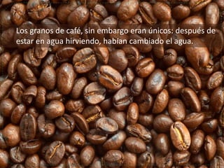 Zanahorias, huevos y café