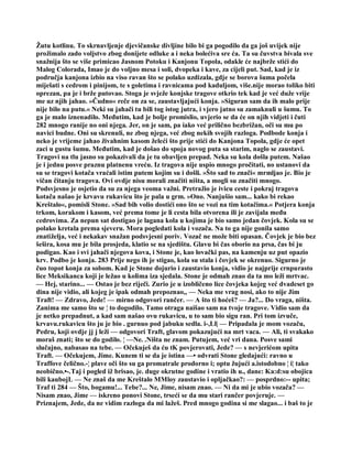 Žutu kotlinu. To skrnavljenje djevičanske divljine bilo bi ga pogodilo da ga još uvijek nije
prožimalo zado voljstvo zbog donijete odluke a i neka bolećiva sre ća. Ta su čuvstva bivala sve
snažnija što se više primicao Jasnom Potoku i Kanjonu Topola, odakle će najbrže stići do
Malog Colorada, Imao je do voljno mesa i soli, dvopeka i kave, za cijeli put. Sad, kad je iz
područja kanjona izbio na viso ravan što se polako uzdizala, gdje se borova šuma počela
miješati s cedrom i pinijom, te s goletima i ravnicama pod kaduljom, više.nije morao toliko biti
oprezan, pa je i brže putovao. Stoga je svježe konjske tragove otkrio tek kad je već duže vrije
me uz njih jahao. »Čudno« reče on za se, zaustavljajući konja. »Siguran sam da ih malo prije
nije bilo na putu.« Neki su jahači tu bili tog istog jutra, i vjero jatno su zamaknuli u šumu. To
ga je malo iznenadilo. Međutim, kad je bolje promislio, uvjerio se da će on njih vidjeti i čuti
282 mnogo ranije no oni njega. Jer, on je sam, pa iako već prilično bezbrižan, oči su mu po
navici budne. Oni su skrenuli, ne zbog njega, već zbog nekih svojih razloga. Podbode konja i
neko je vrijeme jahao živahnim kasom želeći što prije stići do Kanjona Topola, gdje će opet
zaci u gustu šumu. Međutim, kad je došao do spoja novog puta sa starim, naglo se zaustavi.
Tragovi na tlu jasno su pokazivali da je tu obavljen prepad. Neka su kola došla putem. Našao
je i jednu posve praznu platnenu vreću. Iz tragova nije uspio mnogo pročitati, no ustanovi da
su se tragovi kotača vraćali istim putem kojim su i došli. »Što sad to znači« mrmljao je. Bio je
vičan čitanju tragova. Ovi ovdje nisu morali značiti ništa, a mogli su značiti mnogo.
Podsvjesno je osjetio da su za njega veoma važni. Pretražio je ivicu ceste i pokraj tragova
kotača našao je krvavu rukavicu što je pala u grm. »Ono. Nanjušio sam... kako bi rekao
Kreštalo«, pomisli Stone. »Sad bih volio dostići ono što se vozi na tim kotačima.« Potjera konja
trkom, korakom i kasom, već prema tome je li cesta bila otvorena ili je zavijala među
cedrovima. Za nepun sat dostigao je lagana kola u kojima je bio samo jedan čovjek. Kola su se
polako kretala prema sjeveru. Mora pogledati kola i vozača. Na to ga nije gonila samo
znatiželja, već i nekakav snažan podsvjesni poriv. Vozač ne može biti opasan. Čovjek je bio bez
šešira, kosa mu je bila prosjeda, klatio se na sjedištu. Glavu bi čas oborio na prsa, čas bi ju
podigao. Kao i svi jahači njegova kova, i Stone je, kao lovački pas, na kamenju uz put opazio
krv. Podbo je konja. 283 Prije nego ih je stigao, kola su stala i čovjek se okrenuo. Sigurno je
čuo topot konja za sobom. Kad je Stone dojurio i zaustavio konja, vidio je najprije crnpurasto
lice Meksikanca koji je ležao u kolima iza sjedala. Stone je odmah znao da ta mo leži mrtvac.
— Hej, starino... — Ostao je bez riječi. Zurio je u izobličeno lice čovjeka kojeg već dvadeset go
dina nije vidio, ali kojeg je ipak odmah prepoznao,, — Neka me vrag nosi, ako to nije Jim
Traft! — Zdravo, Jede! — mirno odgovori rančer. — A što ti hoćeš? — Ja?... Do vraga, ništa.
Zanima me samo što se ¦ to dogodilo. Tamo otraga naišao sam na tvoje tragove. Vidio sam da
je netko prepadnut, a kad sam našao ovu rukavicu, u to sam bio sigu ran. Pri tom izvuče,
krvavu.rukavicu što ju je bio . gurnuo pod jabuku sedla. i-,Ll| — Pripadala je mom vozaču,
Pedru, koji ovdje jj j leži — odgovori Traft, glavom pokazujući na mrt vaca. — Ali, ti svakako
moraš znati; što se do godilo. ¦ —Ne. .Ništa ne znam. Putujem, već vri dana. Posve sami
slučajno, nabasao na tebe. — Očekuješ da ću tK povjerovati, Jede? — s nevjerićom upita
Traft. — Očekujem, Jime. Kunem ti se da je istina —• odvrati Stone gledajući: ravno u
Traffove čelično.-¦ plave oči što su ga promatrale prodorno i; optu žujući a.istodobno ¦ i¦ tako
neobično.•-.Taj i pogled iž brisao, je. duge okrutne godine i vratio ih u., dane: Ka:d:su obojica
bili kaubojL — Ne znaš da me Kreštalo MMloy zaustavio i opljačkao?: — posprdno:-- upita;
Traf ti 284 — Što, bogamu!... Tebe?... Ne, Jime, nisam znao. — Ni da mi je ubio vozača? —
Nisam znao, Jime — iskreno ponovi Stone, trseći se da mu stari rančer povjeruje. —
Priznajem, Jede, da ne vidim razloga da mi lažeš. Pred mnogo godina si me slagao... i baš to je
 