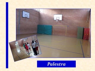 Palestra
 