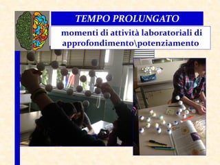 TEMPO PROLUNGATO
momenti di attività laboratoriali di
approfondimentopotenziamento
 