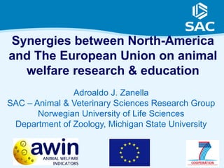 Synergies between North-America
and The European Union on animal
  welfare research & education
               Adroaldo J. Zanella
SAC – Animal & Veterinary Sciences Research Group
       Norwegian University of Life Sciences
 Department of Zoology, Michigan State University


                                                    1
 